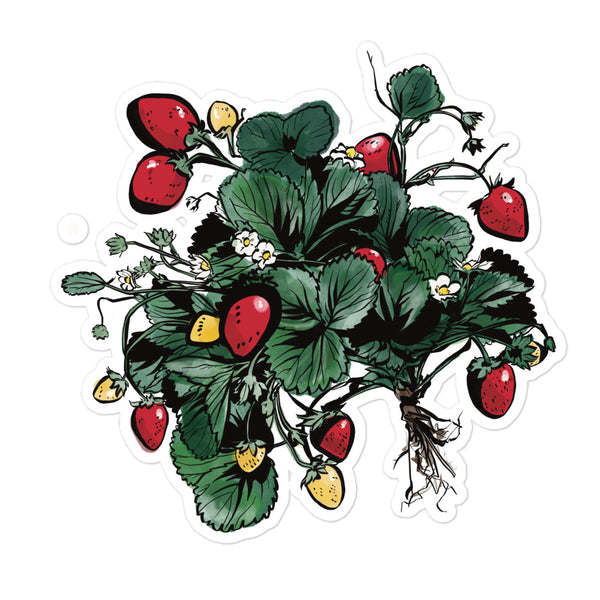 Strawberry Plant Sticker